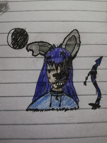 IMG 20260214 115137.jpg