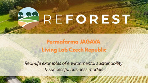 8H dtdAd7 Q6P1dy.jpg