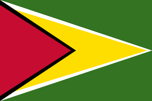 guyana.png