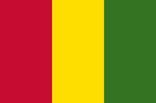 guinea.png