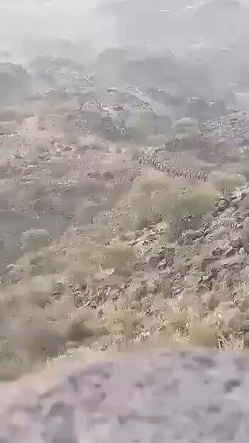 eBz7UwdcDwBbJ tB.jpg