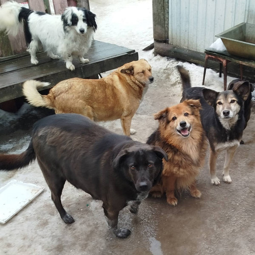 HBB4tm bEAAgpSG?format=jpg.jpg