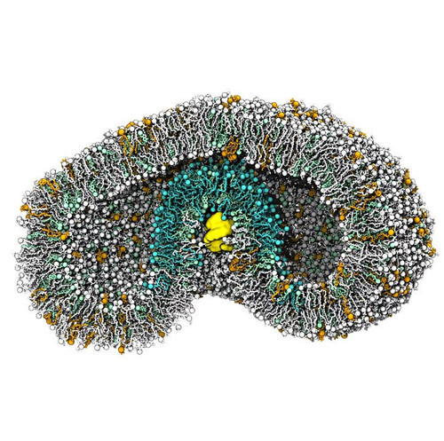 wmaBAY5dIjJkw0E .jpg