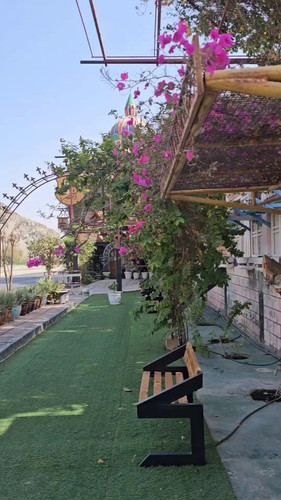 eG wVVEHK53ZdC4d.jpg