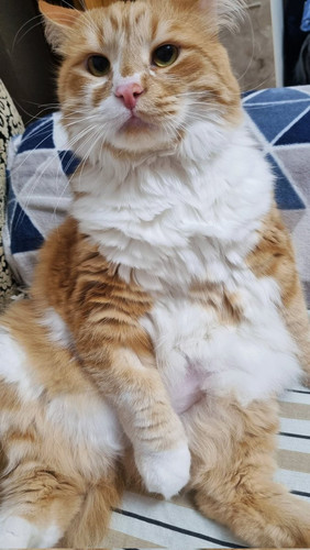 HBEf wwaUAAN38b?format=jpg.jpg