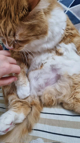 HBEf urWMAA7aue?format=jpg.jpg