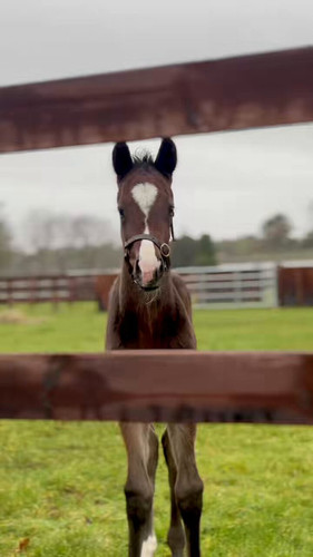 C0cG3Kk HhH92H2K.jpg