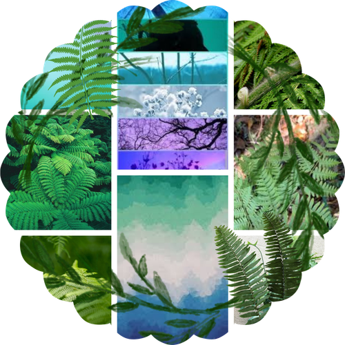 fern.png