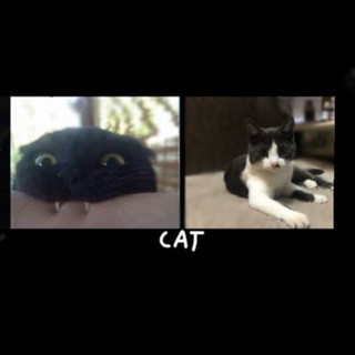 u1dW fFj0KYb8w 0zsjc5rr93Fb0s2Sx2y691lrzBsYHrjApVNaYb3YfGMx6wHkJ5730L8Osbp0 UdkSZjLDkvirkTYeVkiwzFbp.jpg