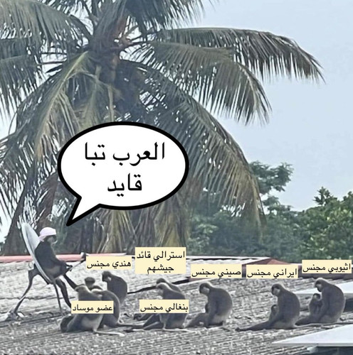 HBEDYwSasAAmN6t.jpg