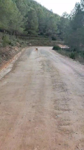 3FQ04 08fBANyt C.jpg