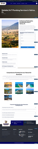 screencapture redemptionplumbingservices valrico florida plumbing services 2026 02 14 01 31 59.png