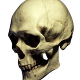 image 2026 02 13 222718224.png