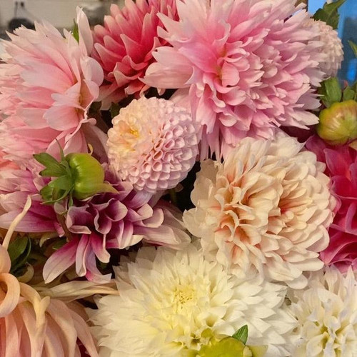 E15DFFB7 9C74 461A B9A7 E95848182FB6 1 105 c.jpg