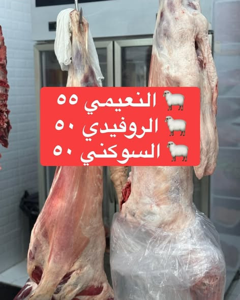 634045441 948941557663949 187160211256468942 n.jpg?stp=dst jpg s590x590 tt6& nc cat=100&ccb=1 7& nc .jpg