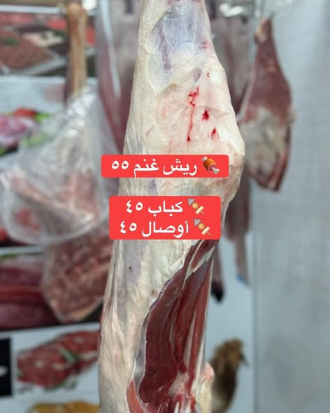 635219849 948941724330599 5459784741580309087 n.jpg?stp=dst jpg s590x590 tt6& nc cat=110&ccb=1 7& nc.jpg