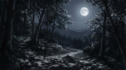 117 api 1771046907829 pqsl1l.jpg