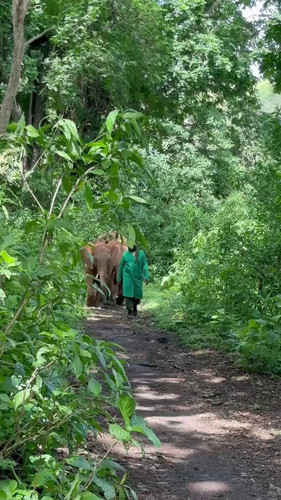 VNjgUiFh bMwX5VD.jpg