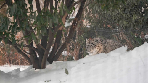 bBpfJMz7ePC 5o3Q.jpg