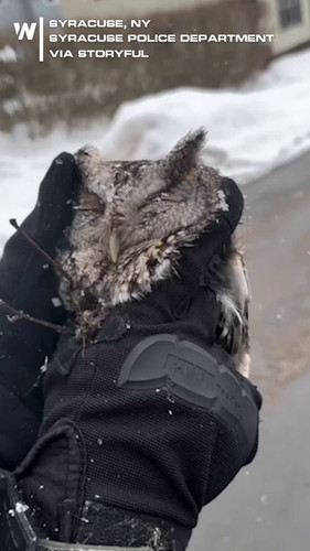 TD64AhJc65K lFg5.jpg