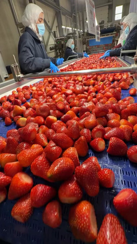 A tCZ2HAKjIgPZz2.jpg