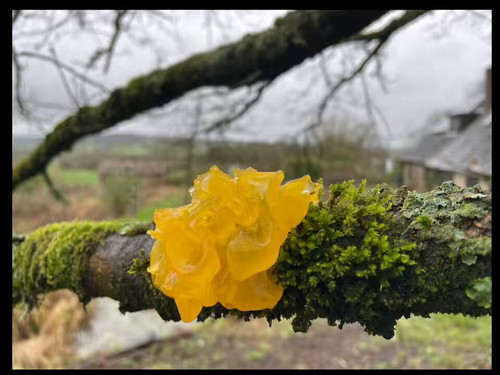 ZMRGmZEj OzkRWUQ.jpg