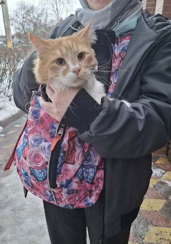 HBDQ3p WAAM970X?format=jpg.jpg