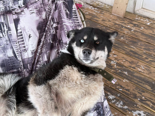 HBC4cPob0AABl f?format=jpg.jpg