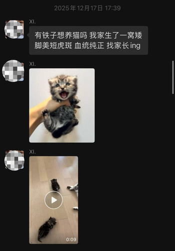 微信图片 20260214155110 717 74.jpg