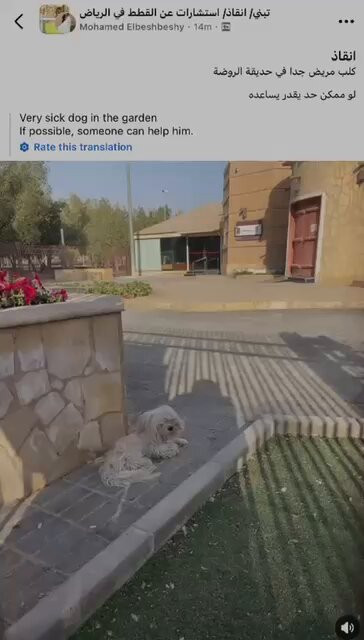 hp yd6vpMwBnNiAS.jpg