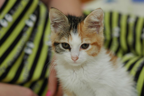 HBDUE26XsAAx Xf?format=jpg.jpg