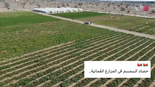 nZHIkYOB2dnf IK3.jpg