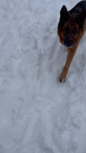 bK8dVxp8kYkV0wu .jpg