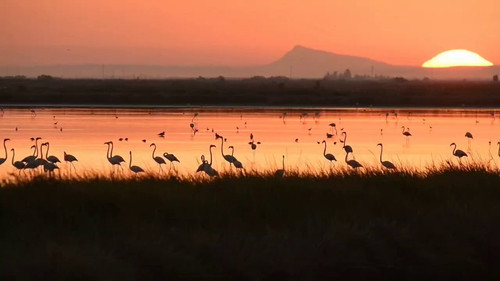 OM5Kwc2y nEO478h.jpg