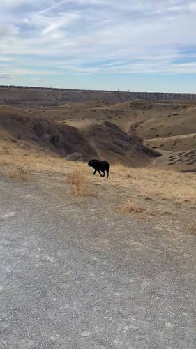 i7VULKxeHMJ ZMhb.jpg