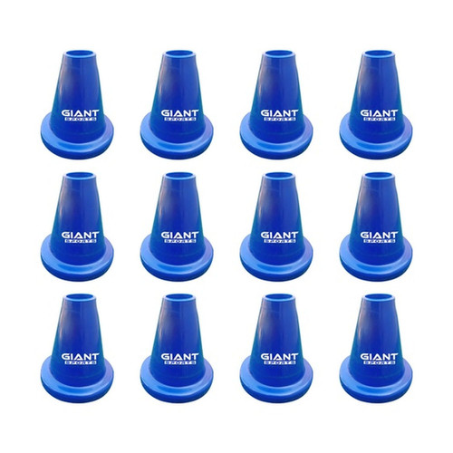 BLUE SET OF 12 1.jpg