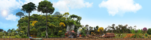 floresta gradiente v2.jpg