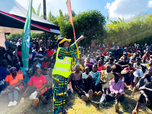 pgvQPLPqfwlNE 7C.jpg