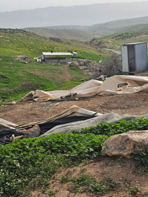 🟨عائلات فلسطينية في تجمع الميتة بالأغوار الشمالية في الضفة الغربية تبدأ تفكيك مساكنها والرحيل قسراً بسبب اعتداءات المستوطنين. 

_ وفقاً لمنظمة البيدر ...