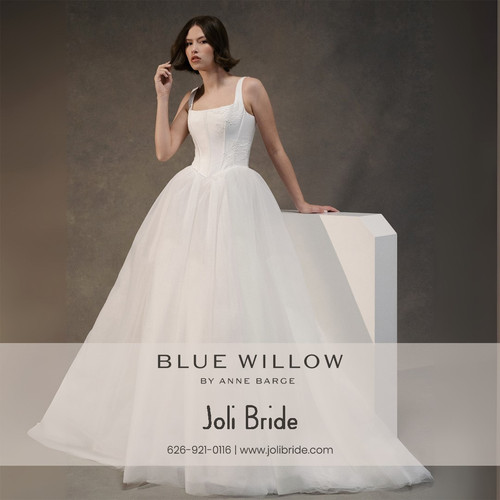 Blue Willow By Anne Barge.jpg