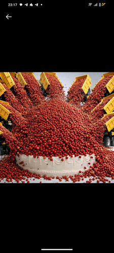 IMG 20260214 045415 198.jpg