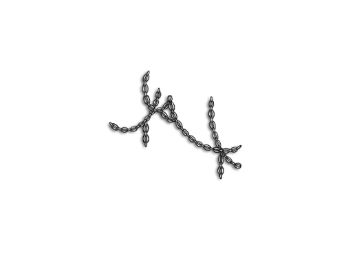 Silver Mngwa Chain Adol.png