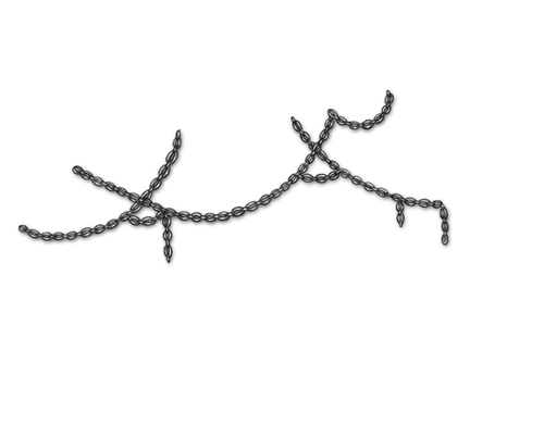 Silver Mngwa Chain Adult Female.png