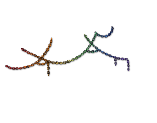 Rainbow Mngwa Chain Adult Female.png