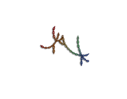 Rainbow Mngwa Chain Adol.png