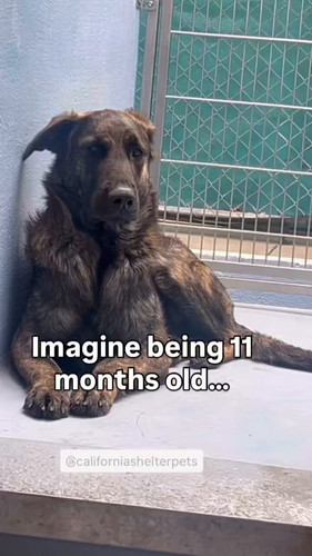 Ns9mbzr7Tzz1bgCZ.jpg