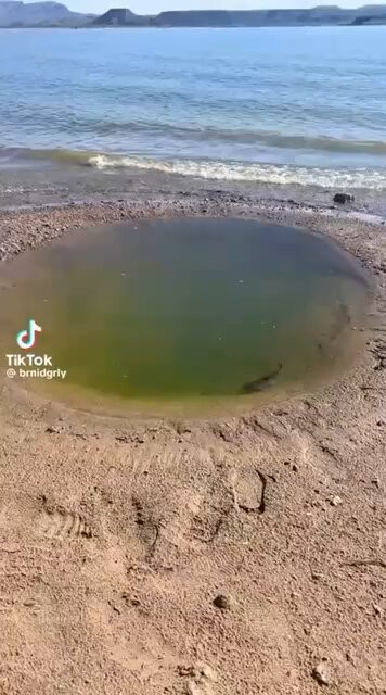 ECDNj4eHKqULPZrA.jpg