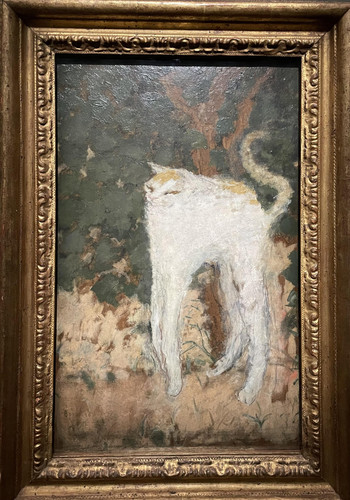 collection saubfi h.jpg