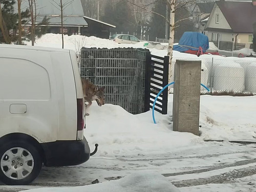 vlJz9 xZlICPxwNT.jpg