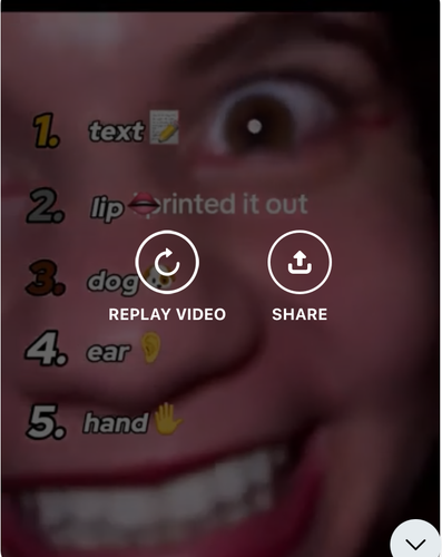 6ed46271 e781 4622 a36a edd19be74432 ReverseSearchImage.png